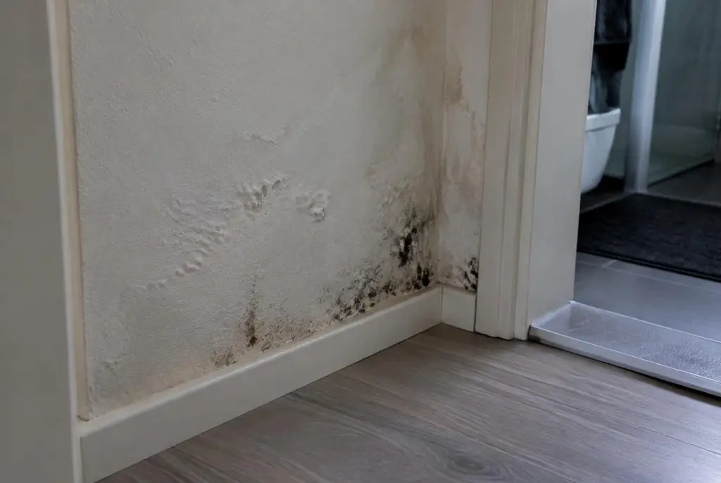 Lekdetectie Maarssen – vochtplek met schimmel op een muur